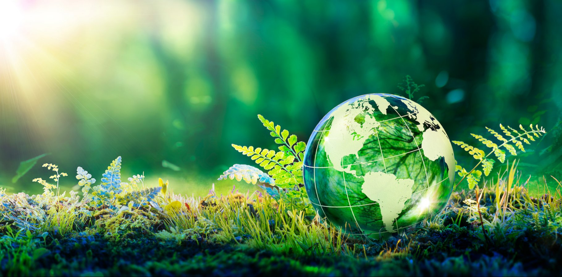 Ewals přechází na klimaticky neutrální tankování